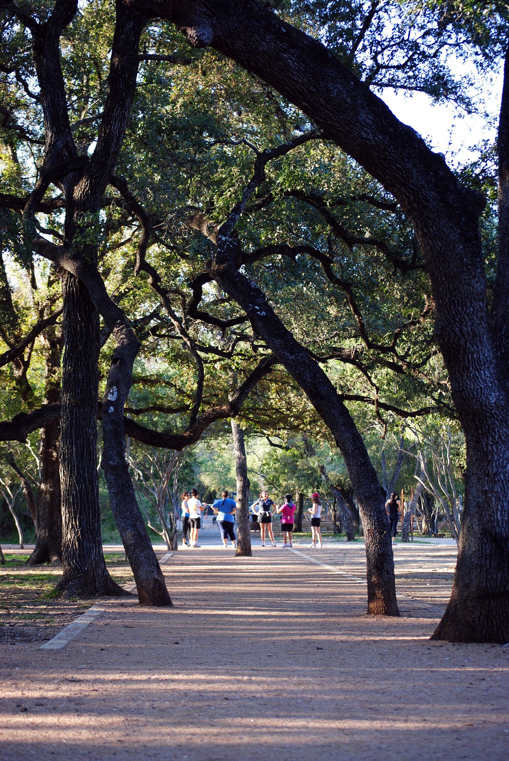 Hardberger Park — STIMSON
